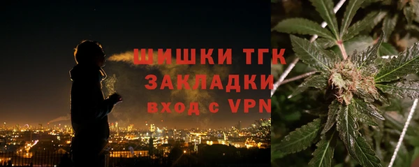 МДПВ Вяземский