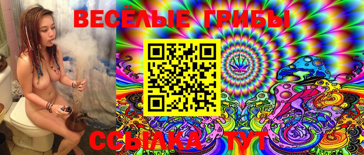 Галлюциногенные грибы Psilocybine cubensis  Галлюциногенные грибы Psilocybe  где купить   Вход с VPN  Клин 