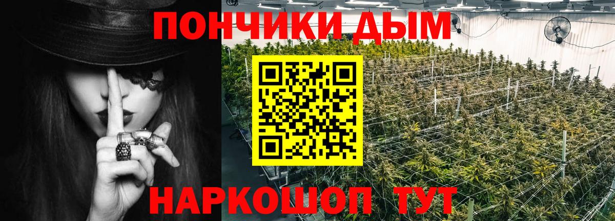 Бошки Шишки семена Клин